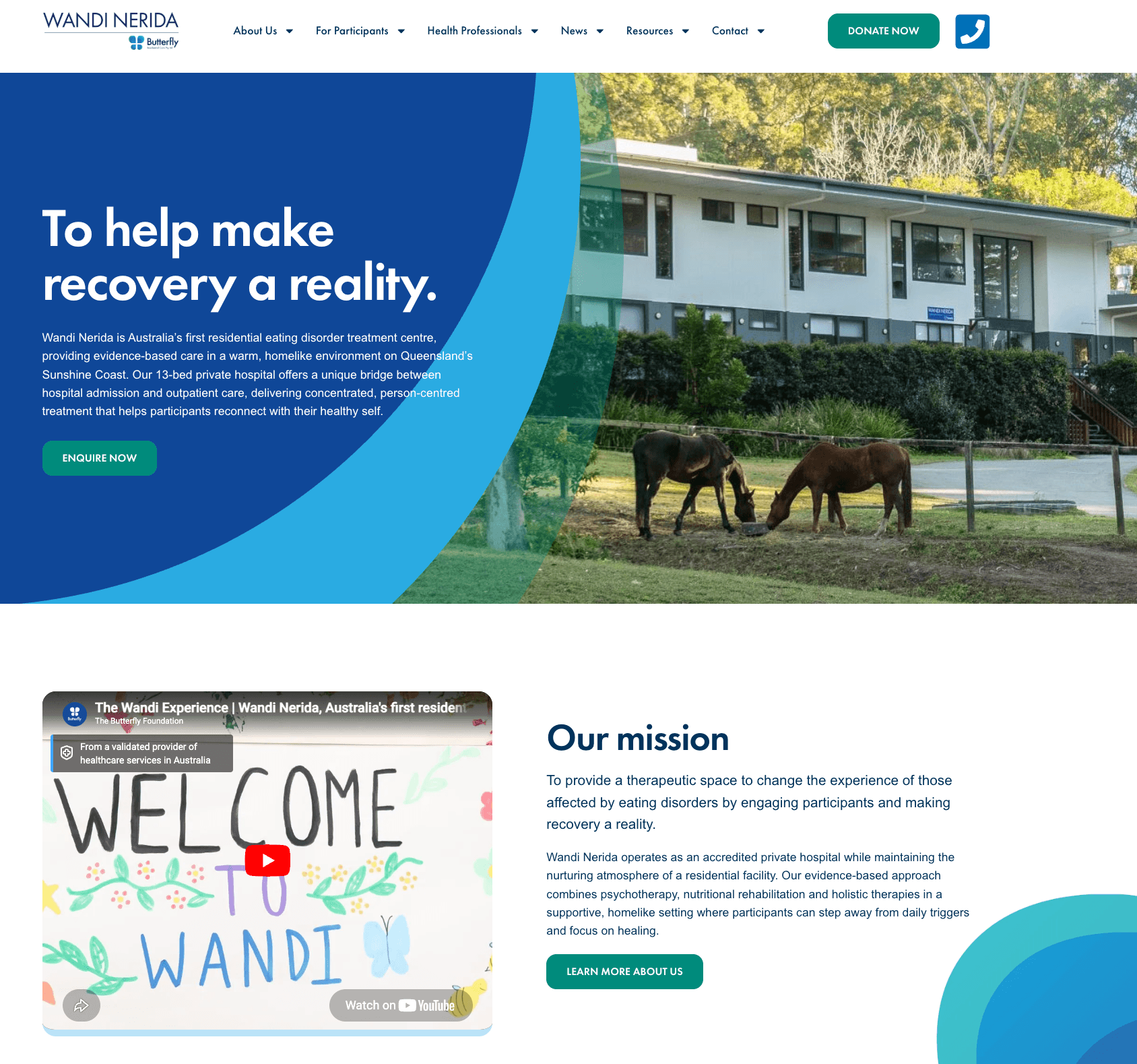 wandi nerida website homepage